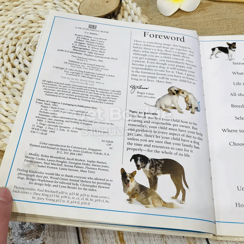 Pet Care Guides For Kids PUPPY รูปที่ 7