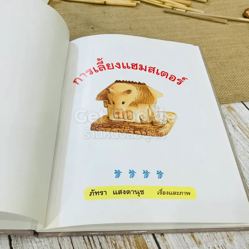 การเลี้ยงแฮมสเตอร์ รูปที่ 4