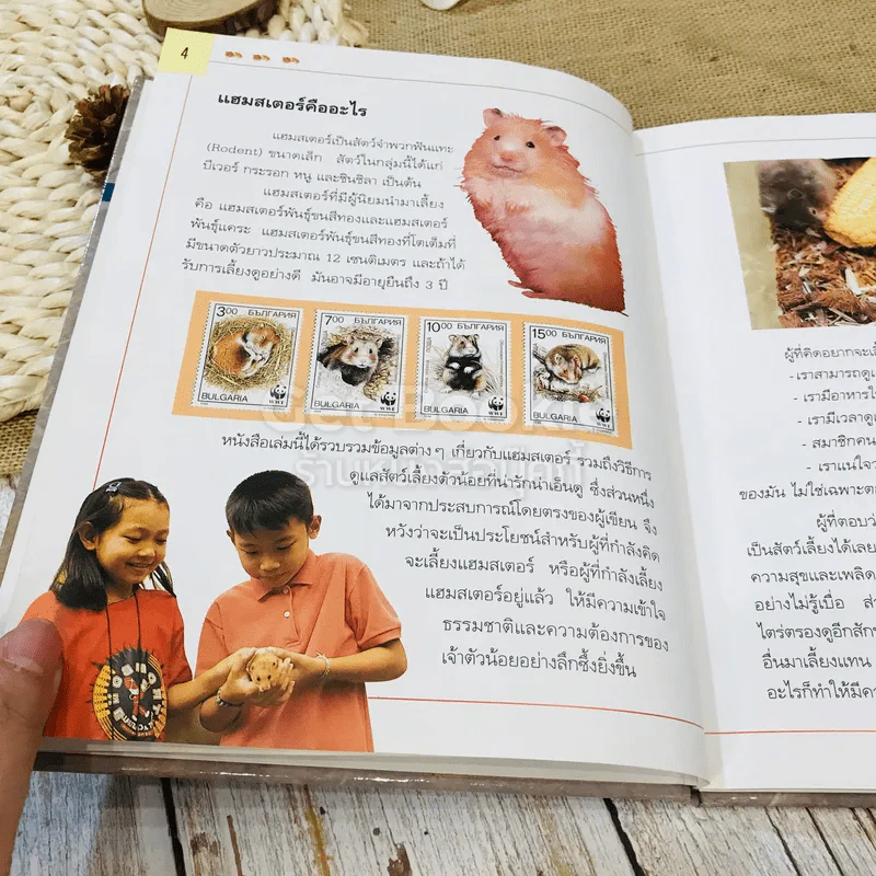 การเลี้ยงแฮมสเตอร์ รูปที่ 7