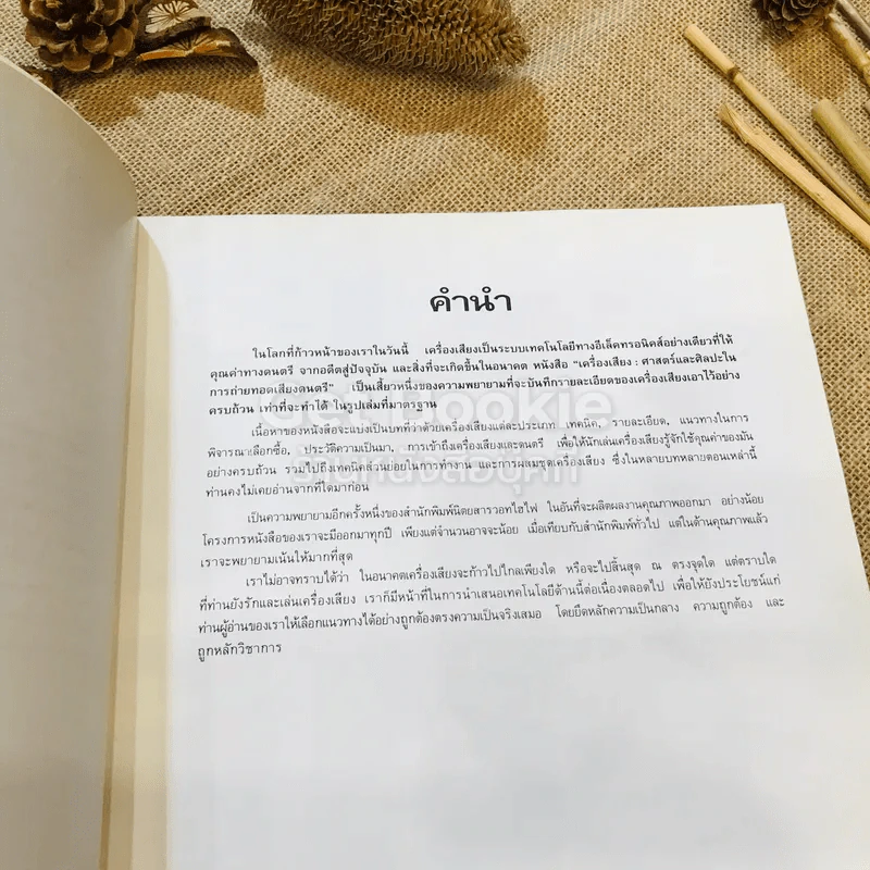 เครื่องเสียง ศาสตร์และศิลปะในการถ่ายทอดเสียงดนตรี รูปที่ 6