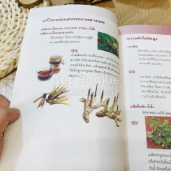 อาหารบำบัดโรค - เฒ่าไม้แห้ง รูปที่ 8