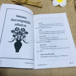 ปลูกต้นไม้เสริมดวงชะตา - แก้ว สุพรรโณ รูปที่ 8