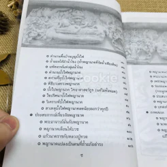 ร่องรอยนาคา พลิกมิติพญานาค พิสูจน์พลังต่างมิติ รูปที่ 9