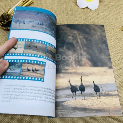 ชีวิตไพรห้วยขาแข้ง - ม.ล.ปริญญากร วรวรรณ รูปที่ 6