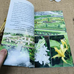 ร้อยพรรณพฤกษา พรรณไม้ในวรรณคดี 1 รูปที่ 7