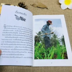 ขิง-ข่า ตำรับอาหารเพื่อสุขภาพ รูปที่ 6