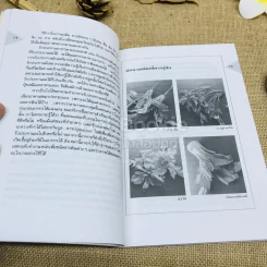 ตำราอาหารจีน ผัด อบ ทอด จานเดียว รูปที่ 8