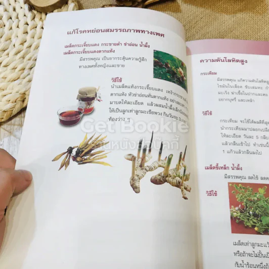 อาหารบำบัดโรค - เฒ่าไม้แห้ง รูปที่ 8
