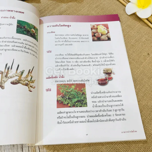 อาหารบำบัดโรค - เฒ่าไม้แห้ง รูปที่ 9