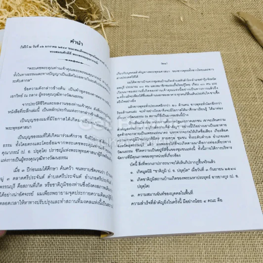 พระผู้ทำสงฆ์ให้งาม รูปที่ 7