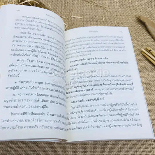 ตื่นเถิดชาวโลก - อัยยา จิตรญาณี รูปที่ 12