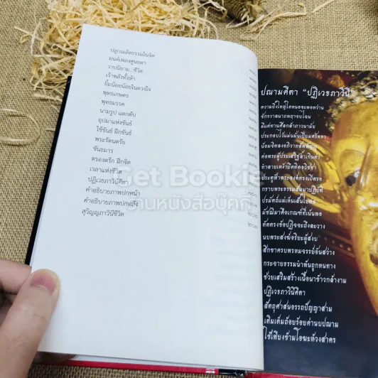 ปฏิเวธภาวินีคีตา - สัจจวิชโช รูปที่ 14