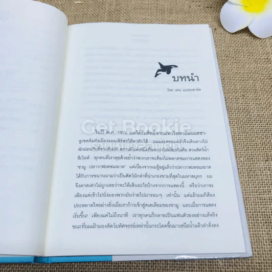 วาฬบอกเยี่ยม Whale Done! พลังแห่งความสัมพันธภาพด้านบวก รูปที่ 7