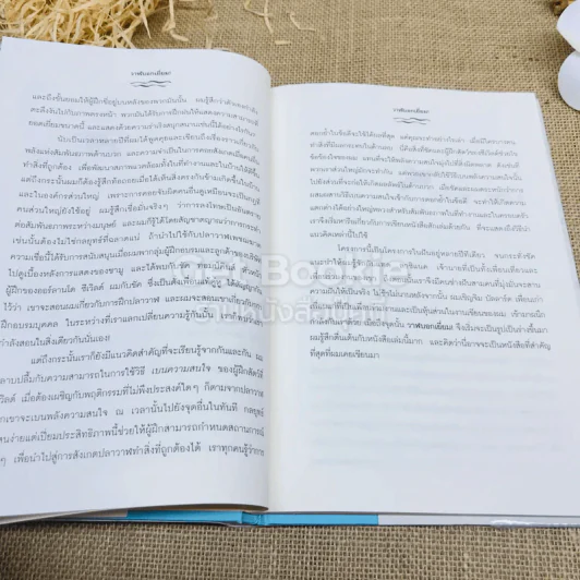 วาฬบอกเยี่ยม Whale Done! พลังแห่งความสัมพันธภาพด้านบวก รูปที่ 8