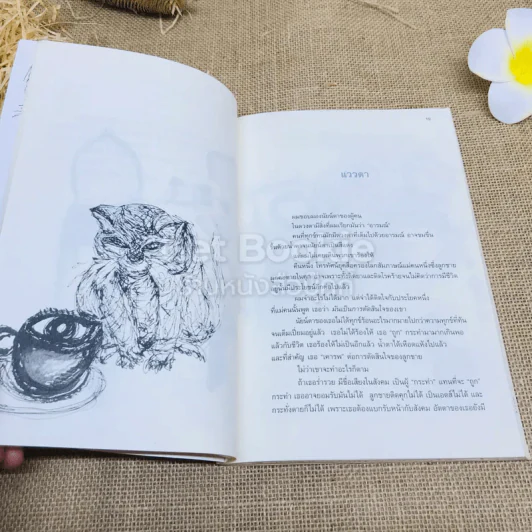กาแฟและชา หมาและแมว รูปที่ 12