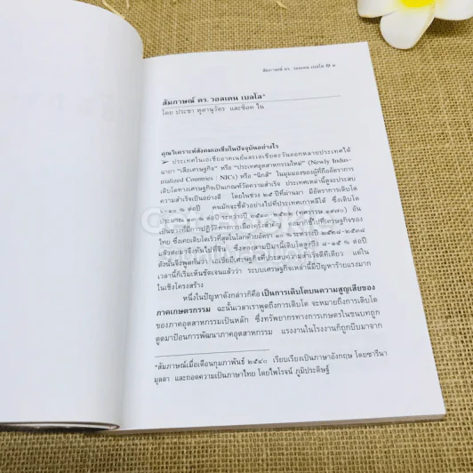 วิกฤติกระแสโลกาภิวัฒน์: บทวิเคราะห์และสำรวจแม่แบบของการพัฒนา รูปที่ 11