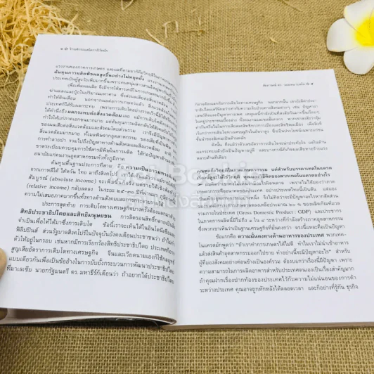 วิกฤติกระแสโลกาภิวัฒน์: บทวิเคราะห์และสำรวจแม่แบบของการพัฒนา รูปที่ 12
