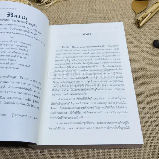 ชีวิตงาม ตามคำสอนของพระเจ้าอยู่หัว รูปที่ 5