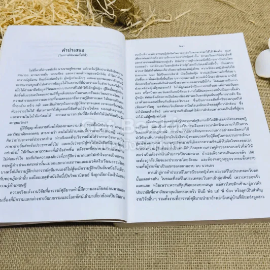 นางงามตู้กระจก การศึกษา กระบวนการกลายเป็นหมอนวดไทย รูปที่ 7