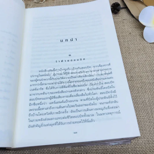 The Lord of the Rings ลอร์ด ออฟ เดอะ ริงส์ 1 ตอนมหันตภัยแห่งแหวน รูปที่ 10
