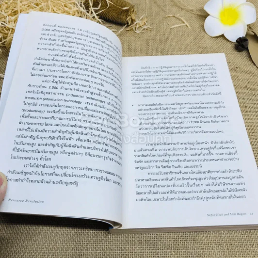 ธุรกิจพลิกอนาคต Resource Revolution ค้นหาโอกาสใหม่ทางธุรกิจ ในยุควิกฤตทรัพยากร รูปที่ 12