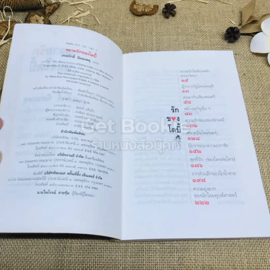 หลายรักของโดบี้ รูปที่ 6