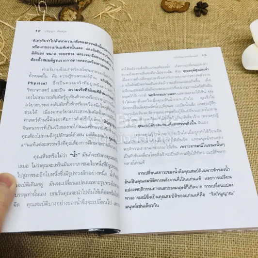 พบตนในตน ฉบับอภิปรัชญาแห่งโลกเสรี รูปที่ 8