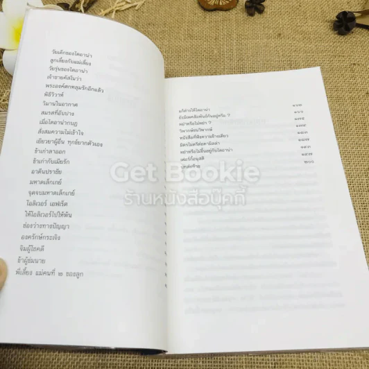 ร้าวรัก ชาร์ลส์ ไดอาน่า รูปที่ 6