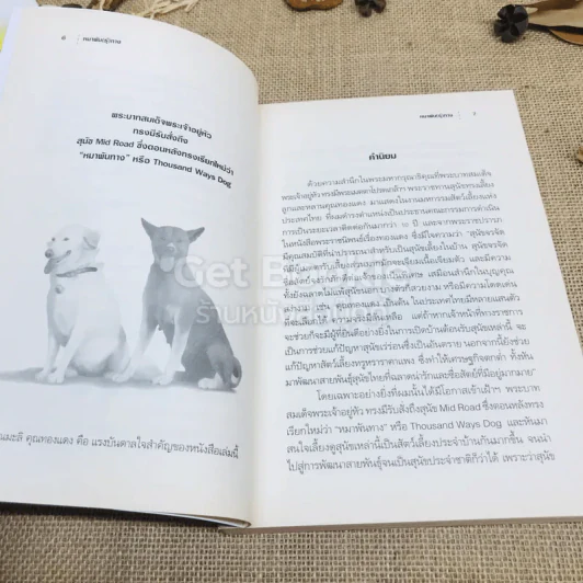 หมาพัน(ธุ์)ทาง 1,000 Ways Dog รูปที่ 6