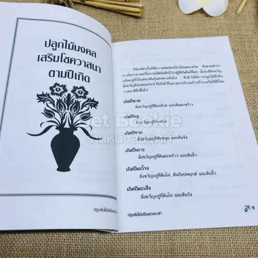 ปลูกต้นไม้เสริมดวงชะตา - แก้ว สุพรรโณ รูปที่ 6