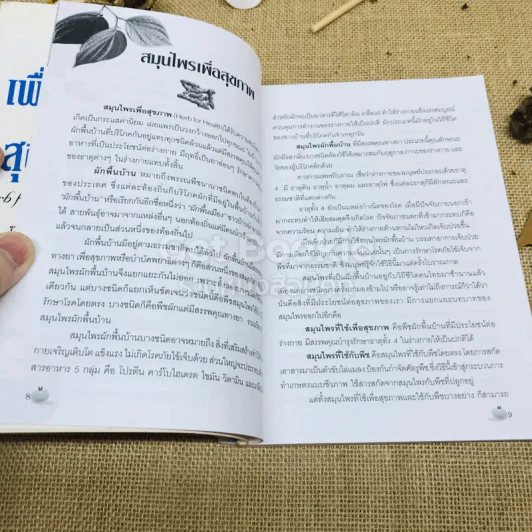สมุนไพรผักพื้นบ้าน เพื่อชีวิต&สุขภาพ รูปที่ 8