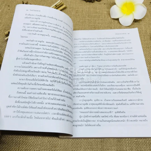 เรื่องของนายสำเริง รูปที่ 9