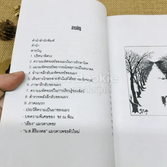 สารคดีชุดโลกเร้นลับ โลกเร้นลับของแมวมหัศจรรย์ รูปที่ 6