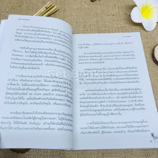หูตั้ง หมาระลึกชาติ รูปที่ 11