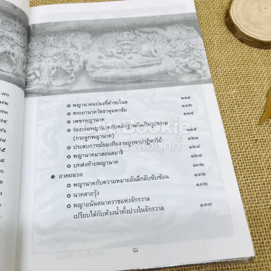 ร่องรอยนาคา พลิกมิติพญานาค พิสูจน์พลังต่างมิติ รูปที่ 10