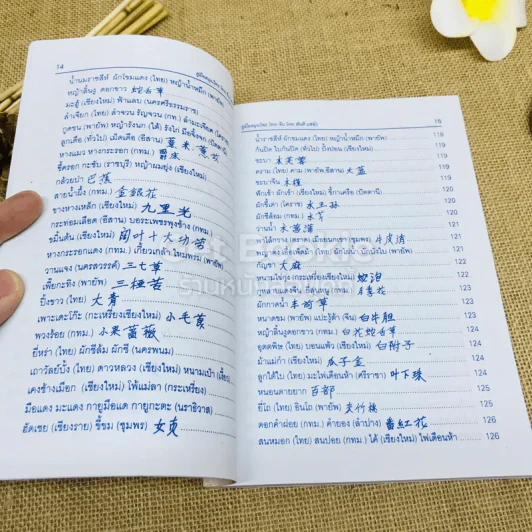 คู่มือสมุนไพร ไทย-จีน รูปที่ 11