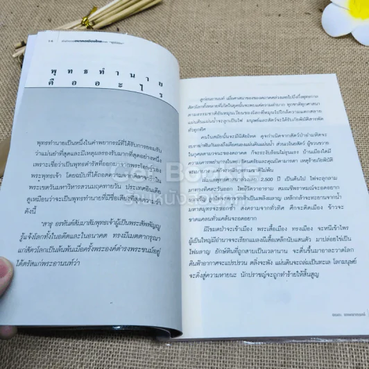 คำทำนายอนาคตเมืองไทยจากผู้มีนิมิต รูปที่ 11