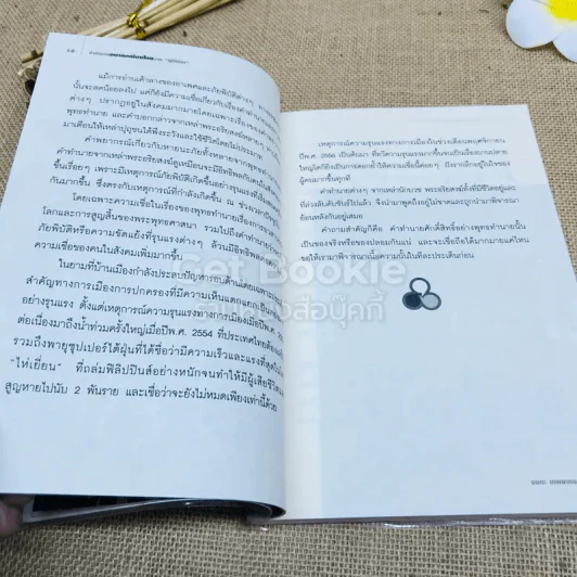 คำทำนายอนาคตเมืองไทยจากผู้มีนิมิต รูปที่ 10