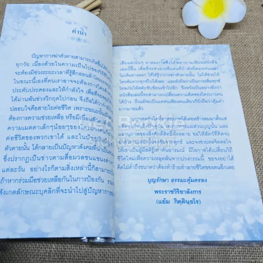ฆ่าตัวตายทำไม? ความทุกข์ใจดีกว่า รูปที่ 5