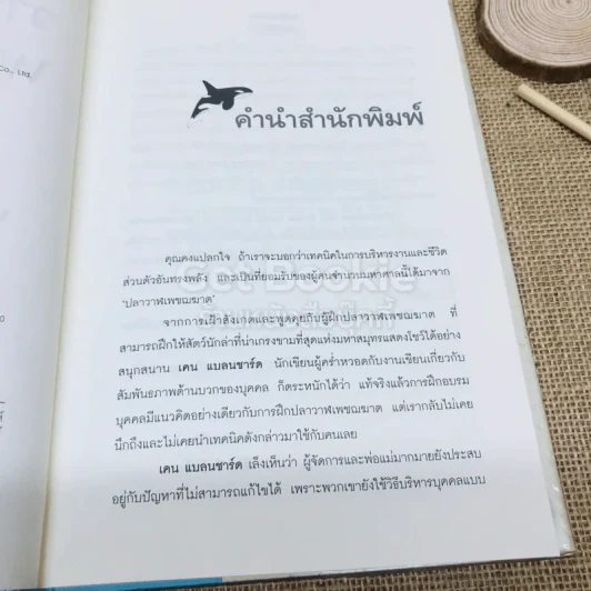 วาฬบอกเยี่ยม Whale Done! พลังแห่งความสัมพันธภาพด้านบวก รูปที่ 6