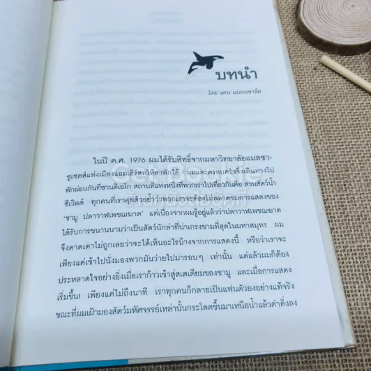 วาฬบอกเยี่ยม Whale Done! พลังแห่งความสัมพันธภาพด้านบวก รูปที่ 7