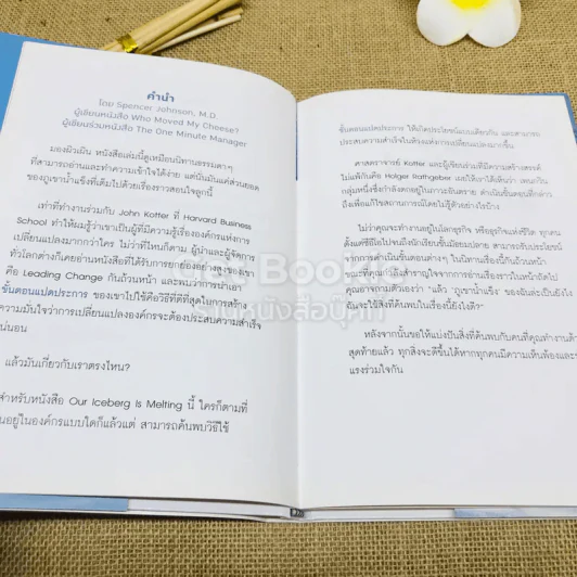 เมื่อภูเขาน้ำแข็งละลาย รูปที่ 6