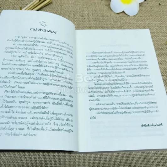 ดูจิตหนึ่งพรรษา รูปที่ 5