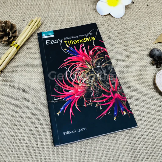 Easy Tillandsia มือใหม่หัดปลูกทิลแอนด์เซีย รูปที่ 1