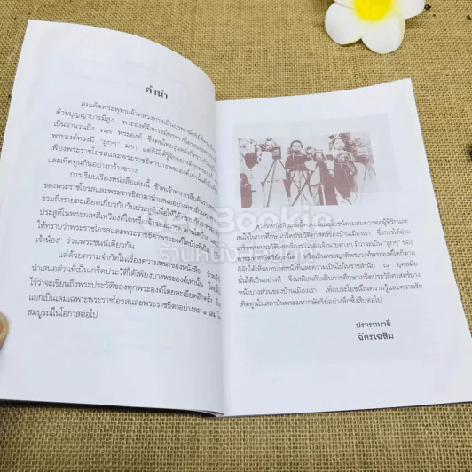 ลูกๆของพ่อ - ฉัตรเฉลิม รูปที่ 7