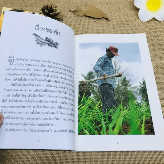 ขิง-ข่า ตำรับอาหารเพื่อสุขภาพ รูปที่ 6