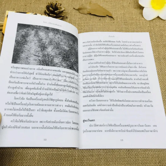 ขิง-ข่า ตำรับอาหารเพื่อสุขภาพ รูปที่ 8
