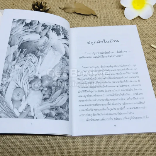 ปลูกผักกินเอง ปลอดภัยไร้สารพิษ รูปที่ 7