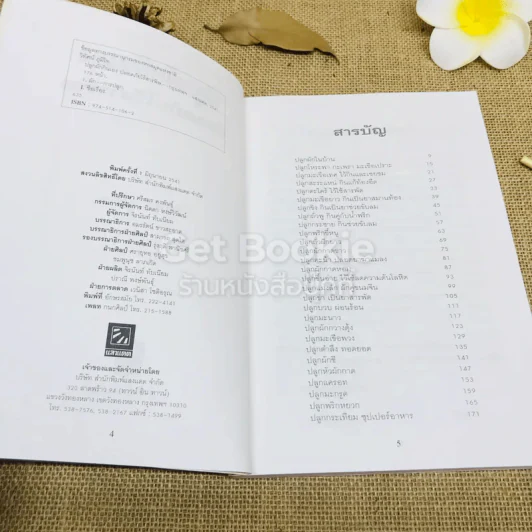 ปลูกผักกินเอง ปลอดภัยไร้สารพิษ รูปที่ 5