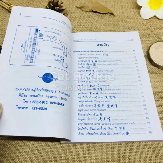 คู่มือสมุนไพร ไทย-จีน รูปที่ 6